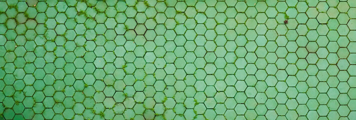 Green hexagonal tiles with patches of moss growing between the grout lines.
