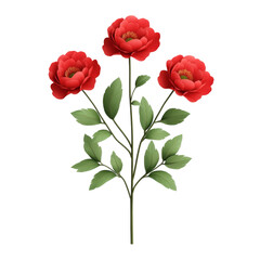 Obraz premium Red flower green leaf stem realistic botanical blooming nature isolated elegant