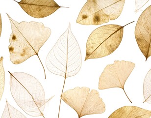 Obraz premium Dried leaves on white background
