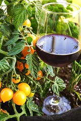 verre de vin et tomates cerises 