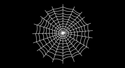 White spider web art