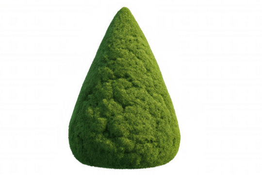 Precisely manicured green conical shrub with clean, sharp edges, standing against transparent backdrop, highlighting topiary landscaping design - Powered by Adobe