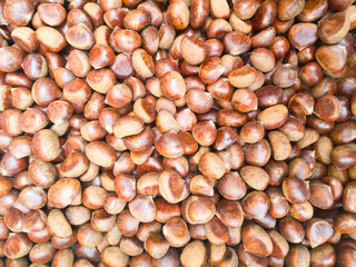 natural background of many chestnut trees.