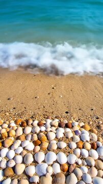 Seashells on Sandy Beach, Ocean Waves, Coastal Scene