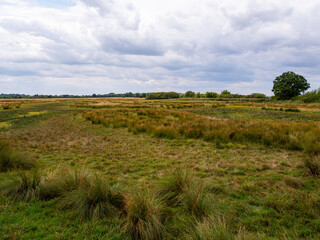 Bleak marshland, at Otmoor near Beckley, Oxfordshire, a nature reserve and wetland complex, managed by the Royal Society for the Protection of Birds. Stormy clouds.