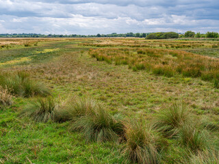 Bleak marshland, at Otmoor near Beckley, Oxfordshire, a nature reserve and wetland complex, managed by the Royal Society for the Protection of Birds. Stormy clouds.