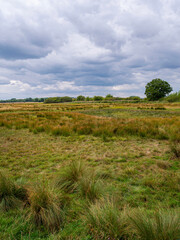 Bleak marshland, at Otmoor near Beckley, Oxfordshire, a nature reserve and wetland complex, managed by the Royal Society for the Protection of Birds. Stormy clouds.