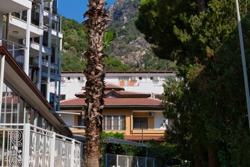 a tree-lined street with buildings and mountains in the background in Icmeler - Marmaris - Mugla -...