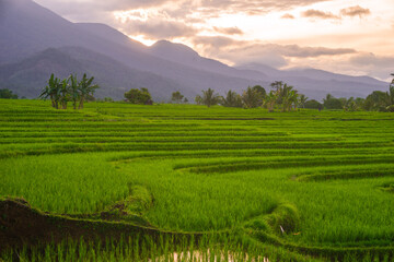 Wonderful sunrise scenery indonesia nature mountain valley forest with bright sky