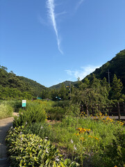화창한 하늘 수목원 풍경
