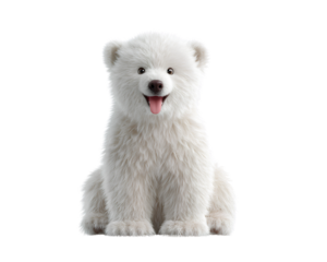 Playful Polar Bear Cub Sitting with Tongue Out, Front View, Isolated on Transparent Background.png