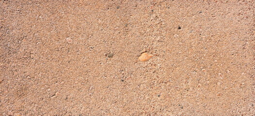 The texture of the brick is coarsely enlarged