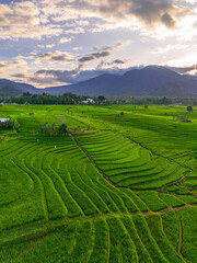 Fototapeta premium Wonderful sunrise scenery indonesia nature mountain valley forest with bright sky