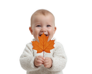 Smiling baby holding orange maple leaf, cozy sweater, isolated on transparency background, autumn theme, joyful expression, childhood innocence, seasonal portrait