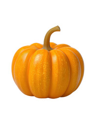 Halloween pumpkin isolated on transparent background