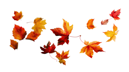 Floating Autumn Leaves Isolated on Transparent Background