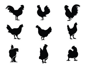 Chicken Hen Cocks Rooster pack set collection pack bundle black shape icon silhouette vector flat illustration design on white background