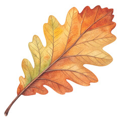Fototapeta premium autumn themed elements Minimal Watercolor 