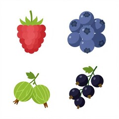set of berries illustration 