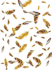 Adobe Illustrator Artwork