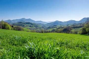 A green field with mountains in the back