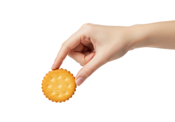 Round cracker in hand studio shot close up food image high resolution baked product