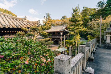 Fototapeta premium shikoku, JAPAN - may 2 2025 No.52 Taisanji Temple, in the Shikoku Pilgrimage