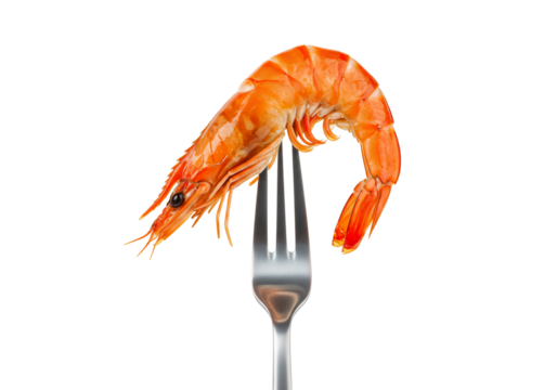 Single cooked shrimp on fork close up studio shot transparent background seafood food photography