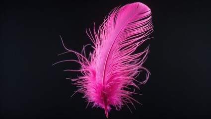 Obraz premium Pink feather on black background. Textured and delicate, soft and vibrant. Elegant and colorful feather macro shot.