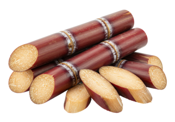 Sugarcane stalks and slices close up macro view high resolution image