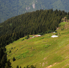 A view from the highland villages in the Macka district of Trabzon.