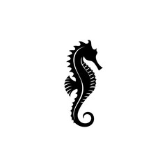 Fototapeta premium Seahorse Vector