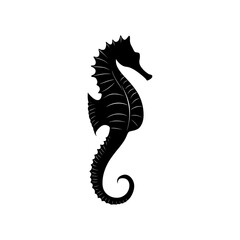 Obraz premium Seahorse Vector