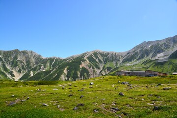 北アルプス　夏の室堂　立山連峰
