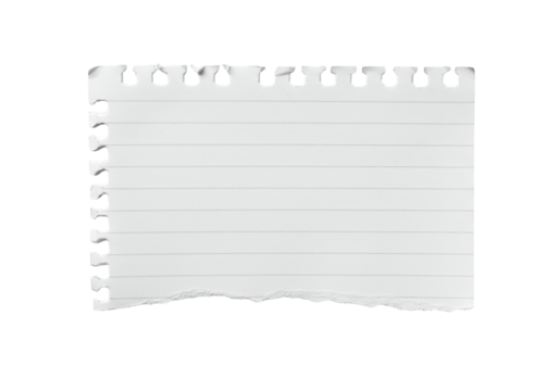 Torn lined paper texture white sheet with ragged edge and perforation