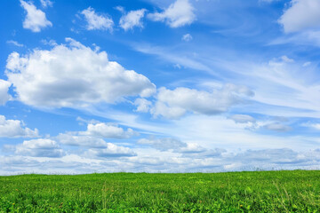 Natural Green Field Under Sunny Sky