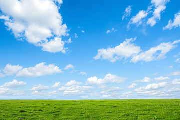 Natural Green Field Under Sunny Sky
