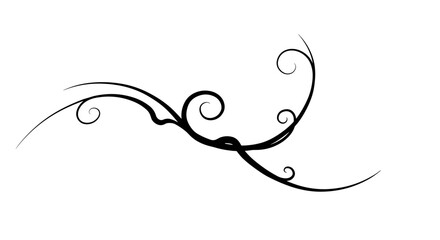 Decorative black swirl design on a white background for elegant composition