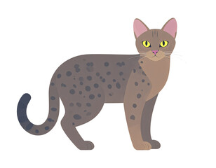 Obraz premium Stylized illustration of a standing spotted brown cat with bright yellow eyes.