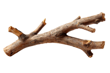 Natural wooden branch with a rustic appearance