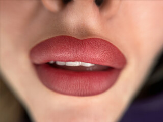 Close-up of a woman's lips with matte lipstick in shades of pink and red. The skin is fair and...