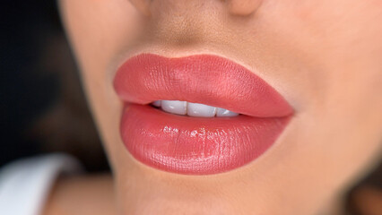 Close-up of full, glossy lips with a natural pink shade. The skin appears smooth and well-cared...