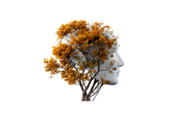 Tree sculpture melds nature and humanity