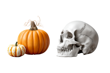 Pumpkins and skulls create a Halloween atmosphere