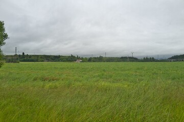 Obraz premium 자연 경관 녹색 들판 풍경