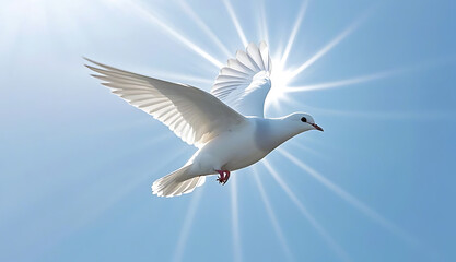 Fototapeta premium Majestic White Dove Soaring in a Heavenly Sky