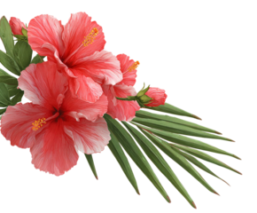 Tropical hibiscus and palm leaf border isolated on white background