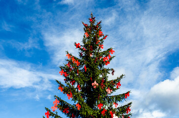 L'albero di natale a Piazzale Michelangelo a Firenze con i gigli rossi appesi ai rami e un cielo con delle nuvole sullo sfondo