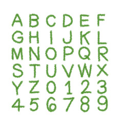 Green Alphabet Letters and Numbers Decorative Font Isolated on Transparent  Background