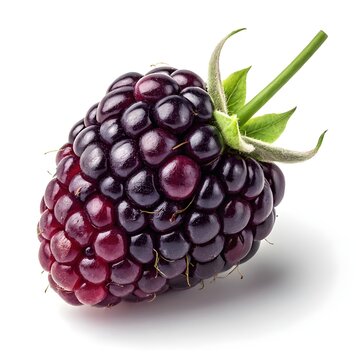 Asian Marionberry Rich Deep Purple Berries with Glossy Juicy Ripe Shine on White Background Evoking Exotic Freshness Natural Sweetness Gourmet Charm Vibrant Elegance and Premium Appeal